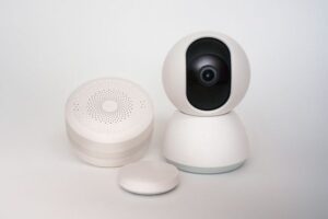 Smart Leak Detector Placement: Where Sensors Matter Most